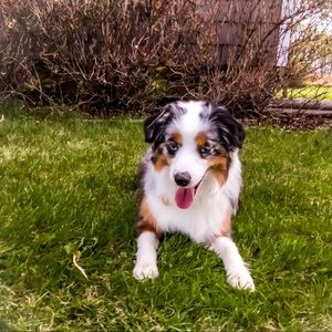 Meet your Posher, Madeline